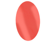 ��������� ����� ������� IRISK, 8 �� №22