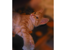 4 ������ 2014.jpg