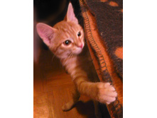 ������ 1.jpg