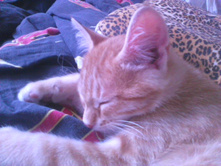 3 ��� ������ 2014.jpg