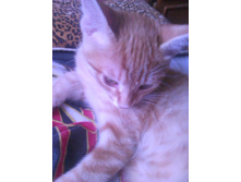 3 ������.jpg