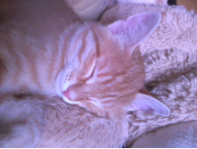 ������ 2014.jpg