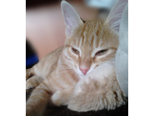 4 ��� ���3.jpg