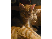 5 ������� 04 ���� 2014.jpg