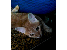 ���� (2).jpg