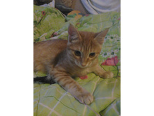 ����17 (2).jpg