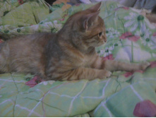 ����18 (2).jpg