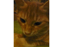 ����22 (2).jpg