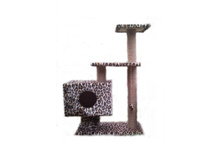 *������� �������� "�������"