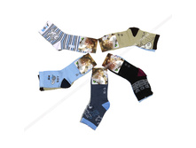 ����� ������ ZP-20OF-B-15   21 �.JPG