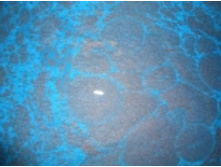 ������ ���������_137+%