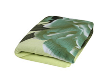 150 ��� ���� 1644_13.jpg