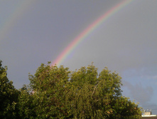 IMAG2750.jpg