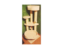 *������� �������� ��� ����� "����"