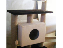 *������� �������� "�����"