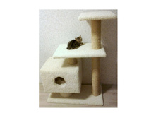 *������� �������� "��������"