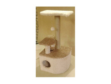 �� 1455� *������� �������� "�������"