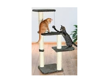 ������� �������� "��������"