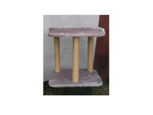 �� 900 ���  (55��) ������� �������� "����� - ������� ���"