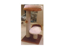 �� 960 ���  (60��) ������� �������� ��� ����� "�����"