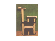 ���������� ����������� �������� "�������"