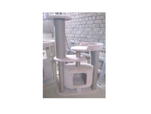 ���������� ����������� �������� "���� ���"