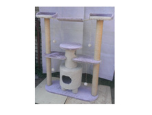 ���������� ����������� �������� "���� ������"