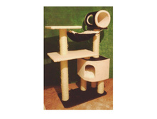 ���������� ����������� �������� "������"