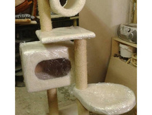 ���������� ����������� �������� "�������"