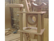 ���������� ����������� �������� "������"