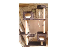 ���������� ����������� �������� "������� ������"