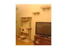 ���������� ����������� �������� "���������"