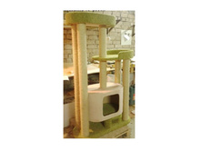 ���������� ����������� �������� "���� ��������"