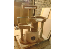 ���������� ����������� �������� "������"