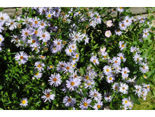 ��������������