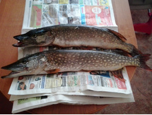 2014-07-07 10.39.44.jpg