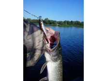 2014-07-07 07.20.56.jpg