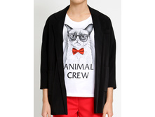 ����� 202|3033|617