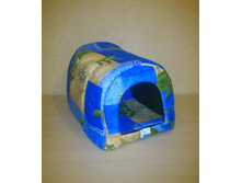 �� 445 ��� - ����� "�����"