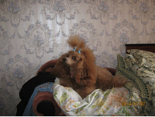 ����� 003.jpg