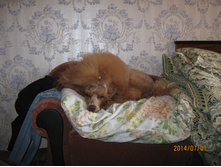 ����� 004.jpg