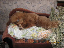 ����� 005.jpg