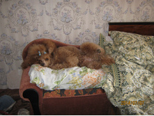 ����� 007.jpg