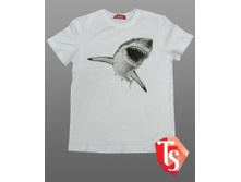 280 �������������� �����