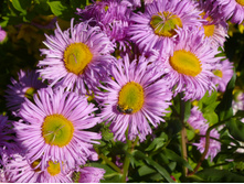 P1020757.JPG ��������