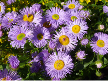 P1020758.JPG ��������������