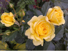 �����. 07.07.2014. 2 ���