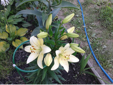 �����. 2 ���. 07.07.2014