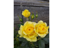 �����. 07.07.2014. 2 ���