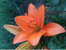 ��������� �����. ������. 2014